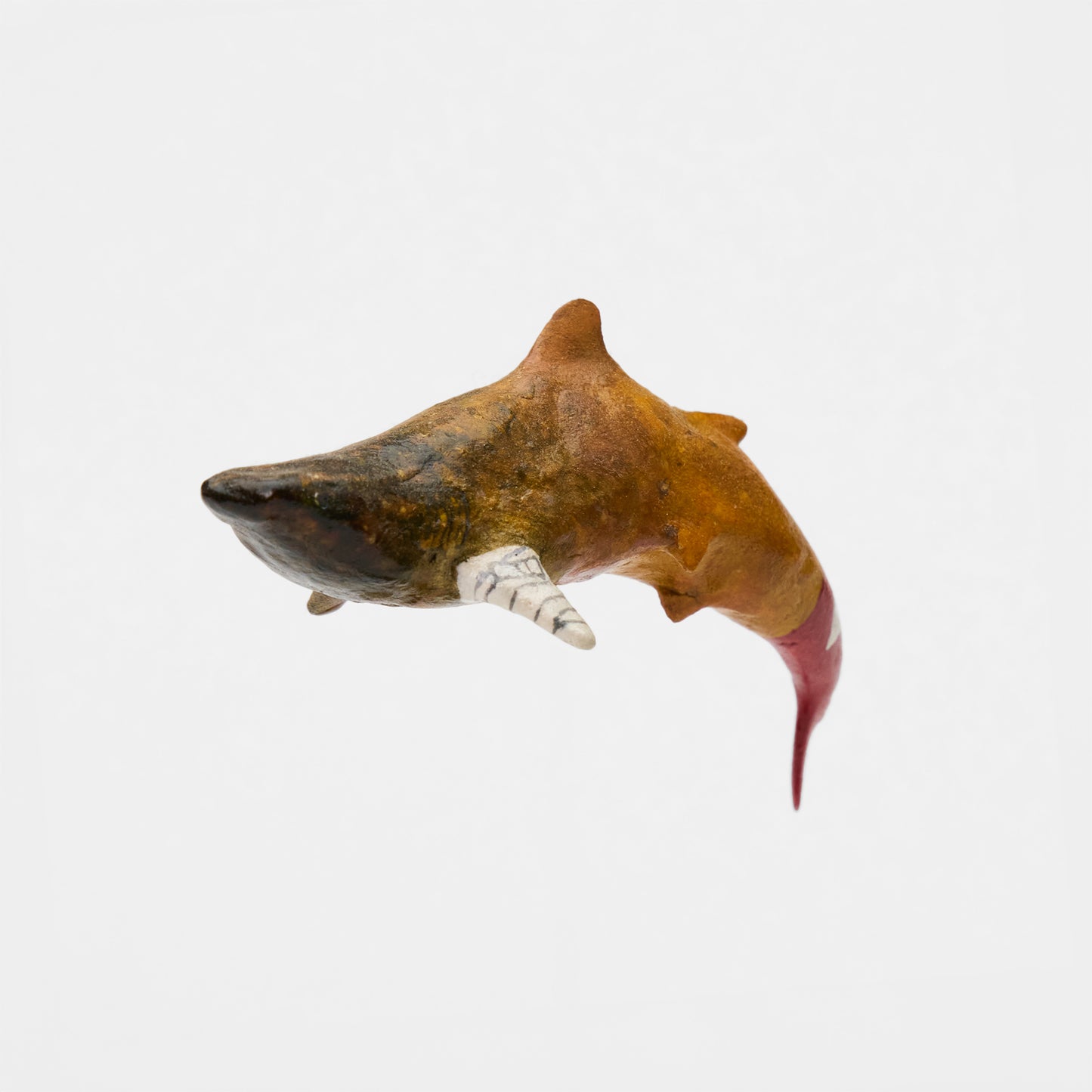 Injured Shark ~ケガしたサメ~