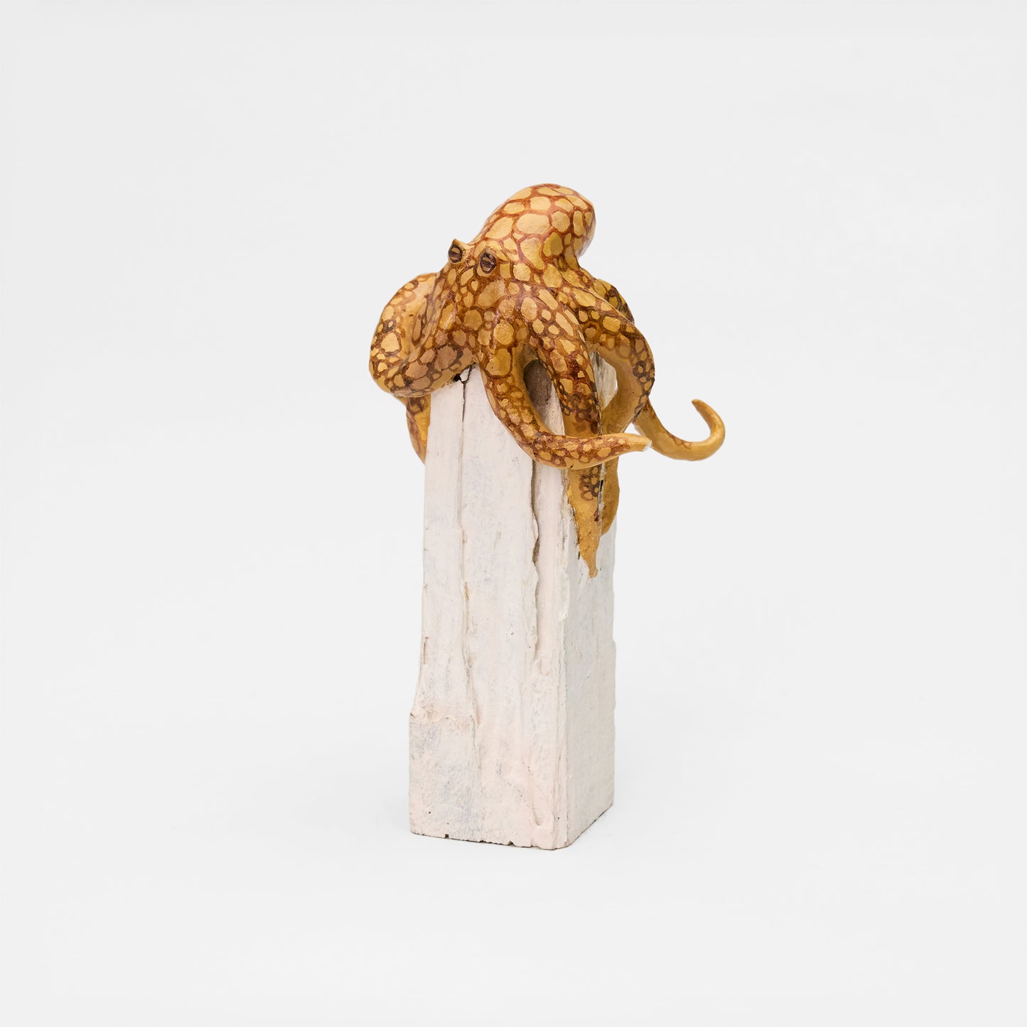 Octopus ~たこ~