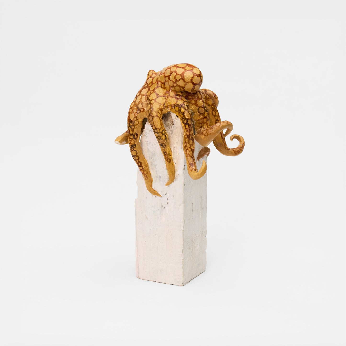 Octopus ~たこ~