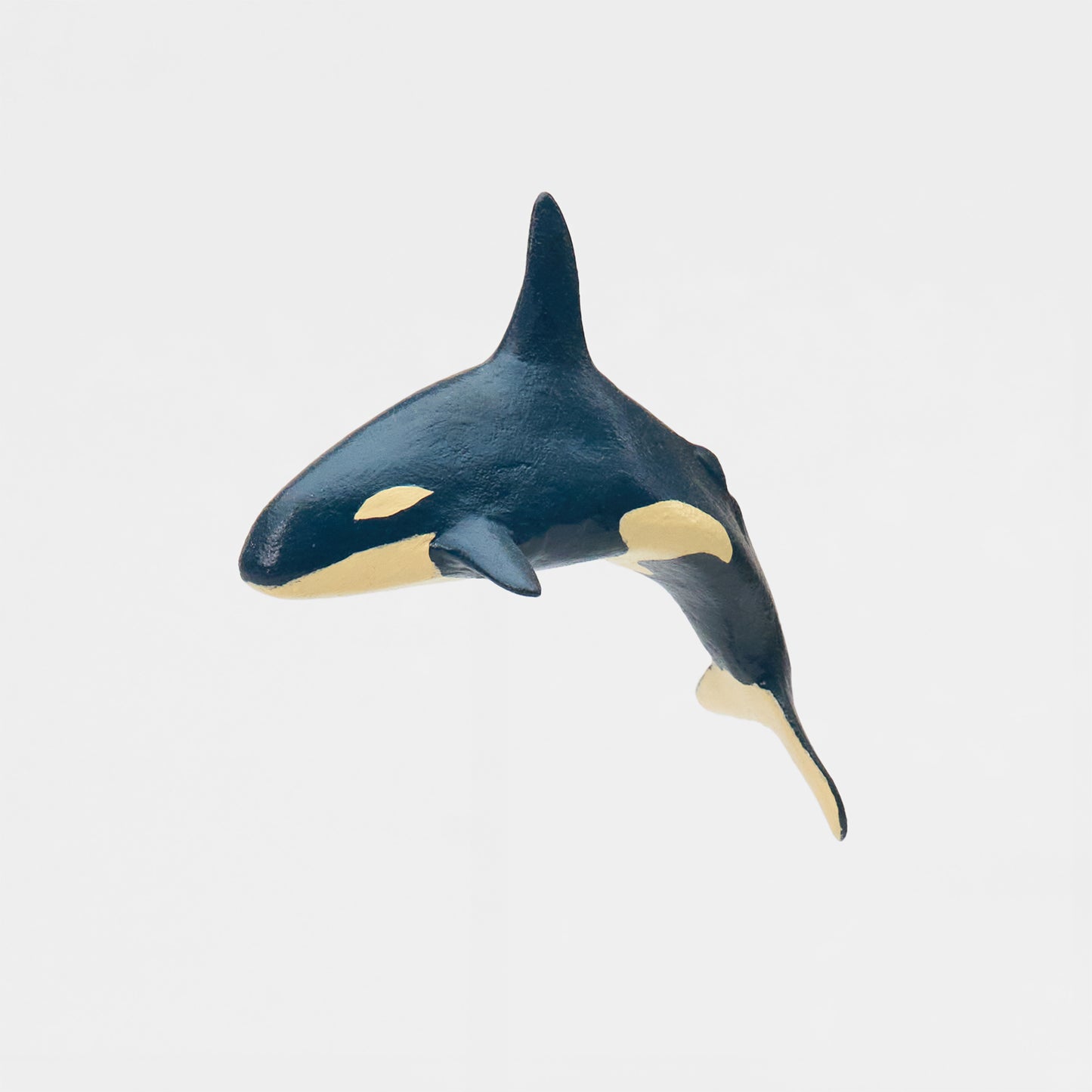 Killer whale blue ~シャチ 青~